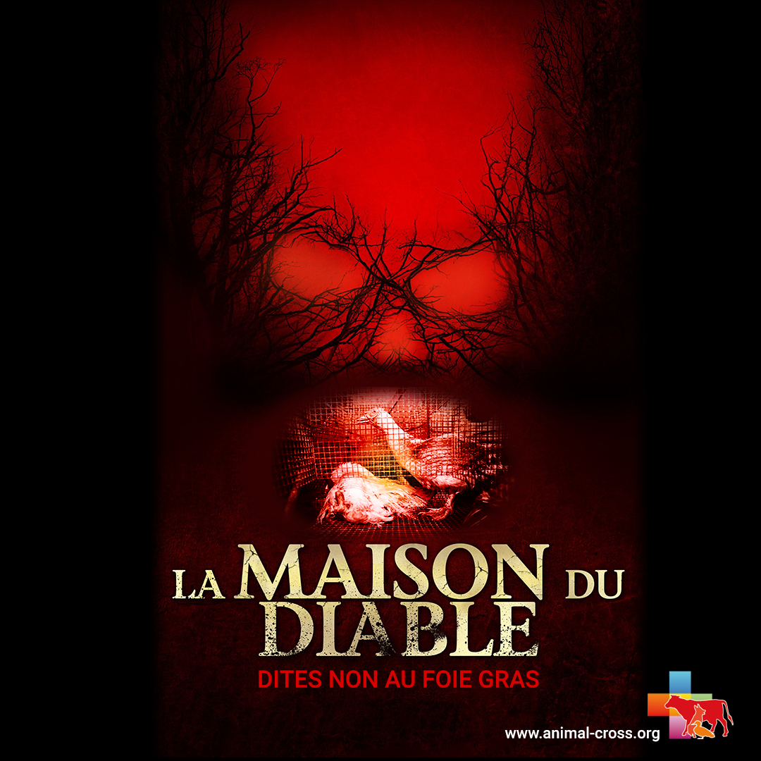 Parodie - La Maison du Diable